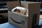Amazon zera tarifas logísticas para seus vendedores mirando a Black Friday e o Natal
