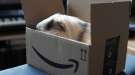 Amazon zera tarifas logísticas para seus vendedores mirando a Black Friday e o Natal